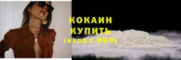 гидра Коряжма