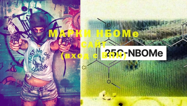 гидра Коряжма