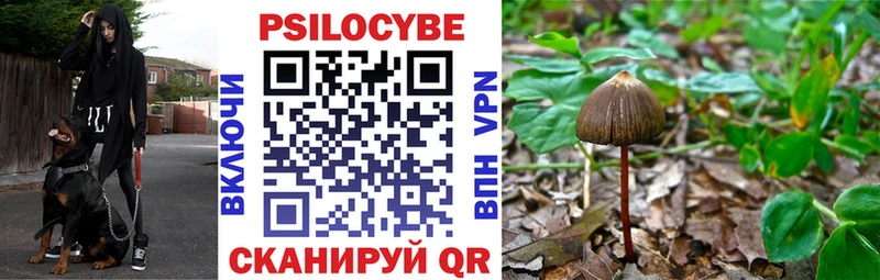 Галлюциногенные грибы Cubensis  Купить  Ноябрьск 